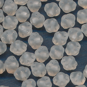 Glasperlen kristall matt, Inhalt 20 Stück, Größe 5 x 6 mm